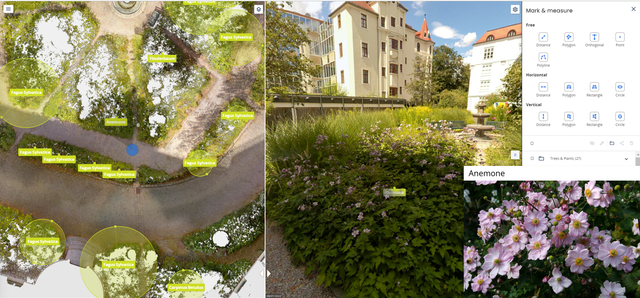 LEED - Vegetation Typ 2